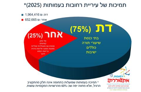 גרף פאי של חלוקת תחומי התמיכות